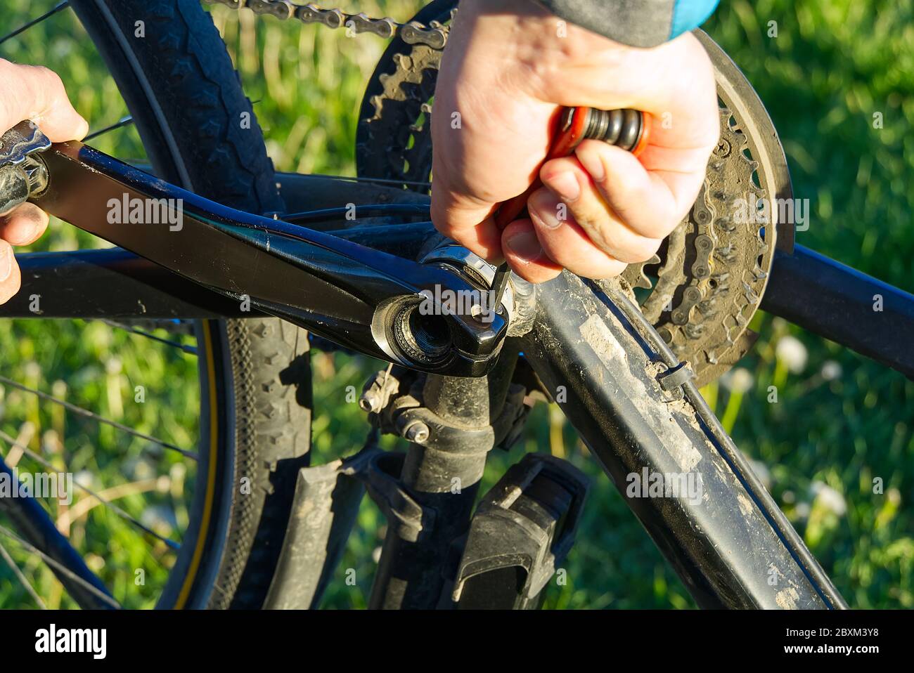 mens pedal bikes