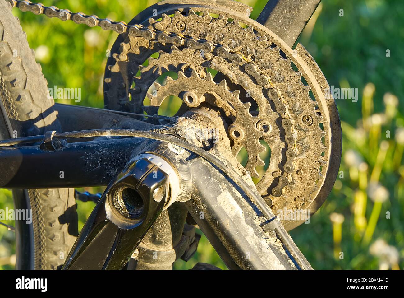 mens pedal bikes