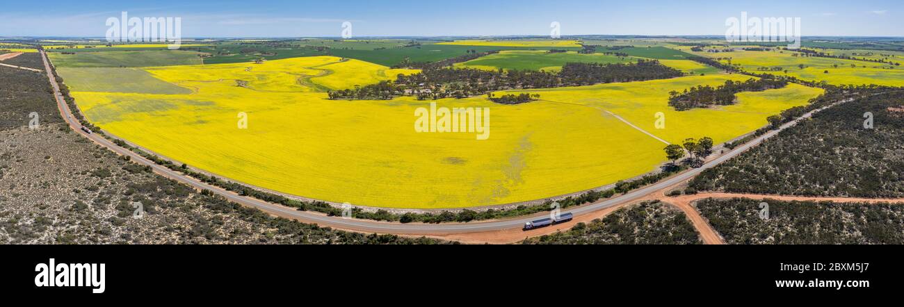 Aerial panoramic view of canola fields next to a  section of highway 40 in the wheatbelt region of Western Australia Stock Photo