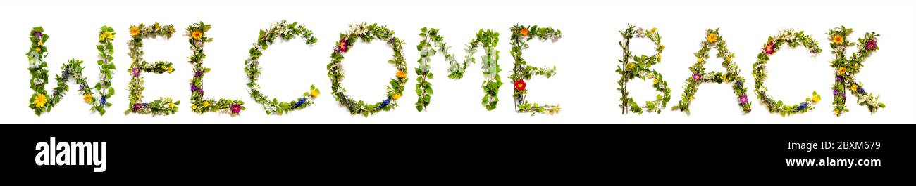 Flower And Blossom Letter Building Word Welcome Back Stock Photo - Alamy