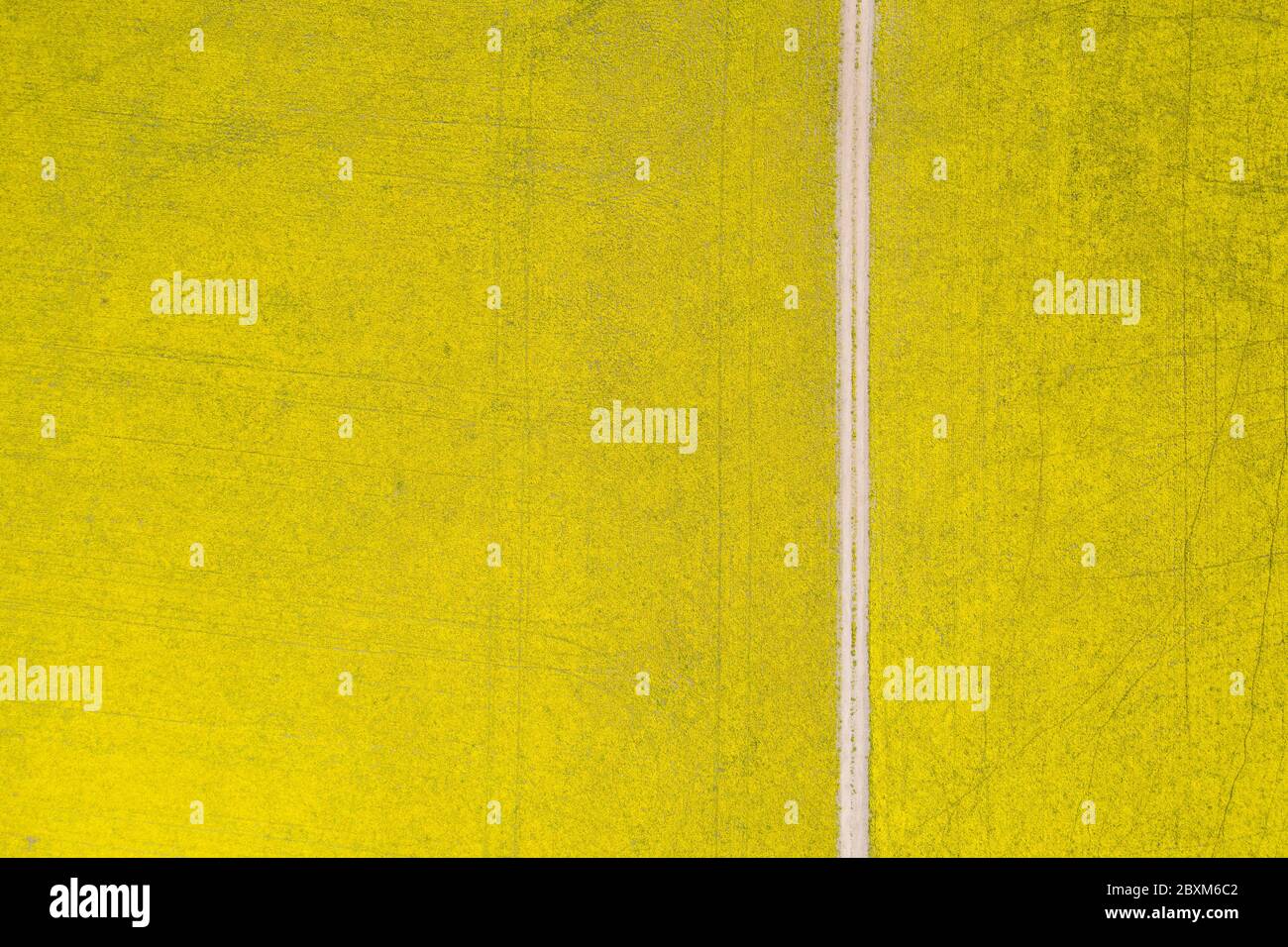 Abstract aerial top down view of a road through canola fields in the rich agricultural region of Western Australia Stock Photo