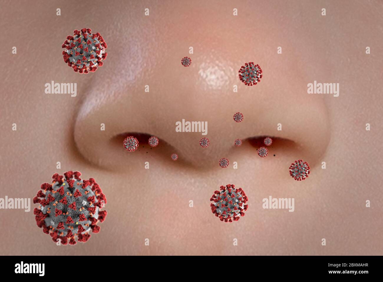 The person's nose when breathing in or exhaling viruses Stock Photo Alamy