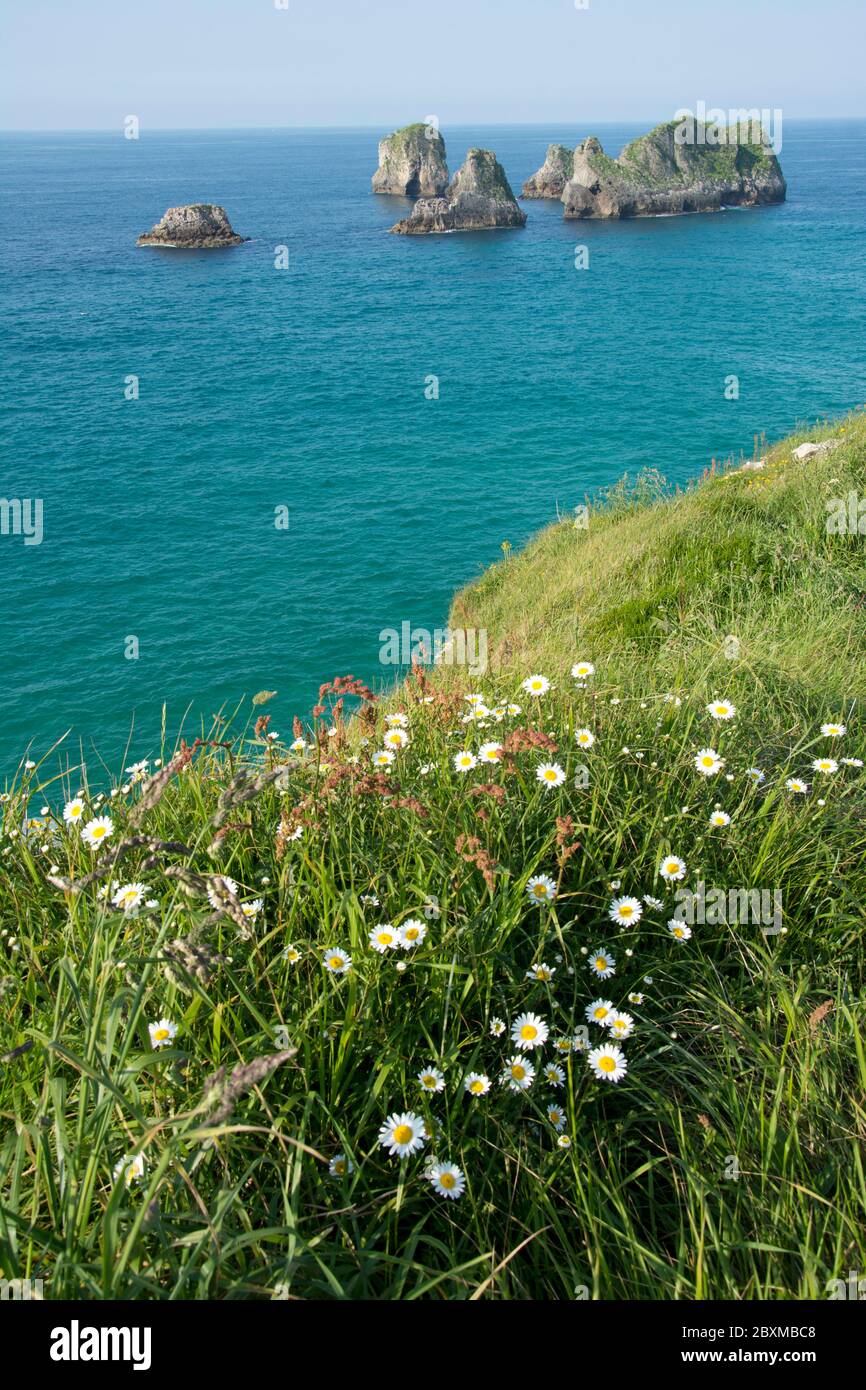 Wilder Küstenabschnitt am Jakobsweg bei Llanes im Golf von Biskaya Stock Photo