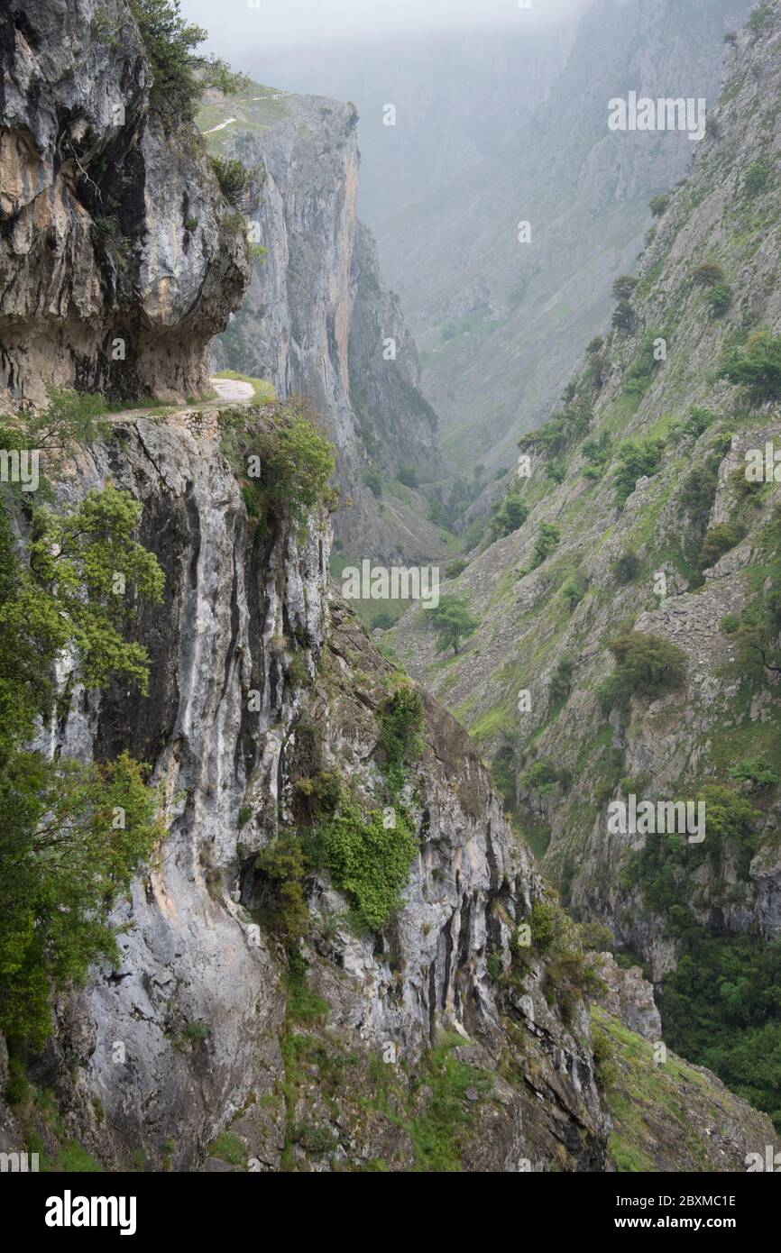 Die Cares-Schlucht, eine der Hauptattraktionen des Nationalparks Picos de Europa Stock Photo