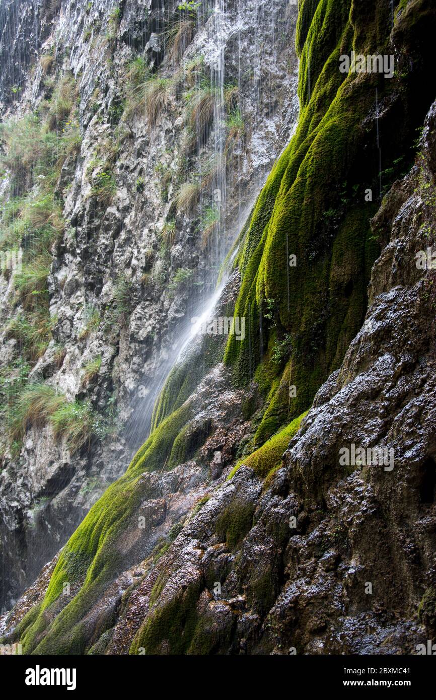 Die Cares-Schlucht, eine der Hauptattraktionen des Nationalparks Picos de Europa Stock Photo