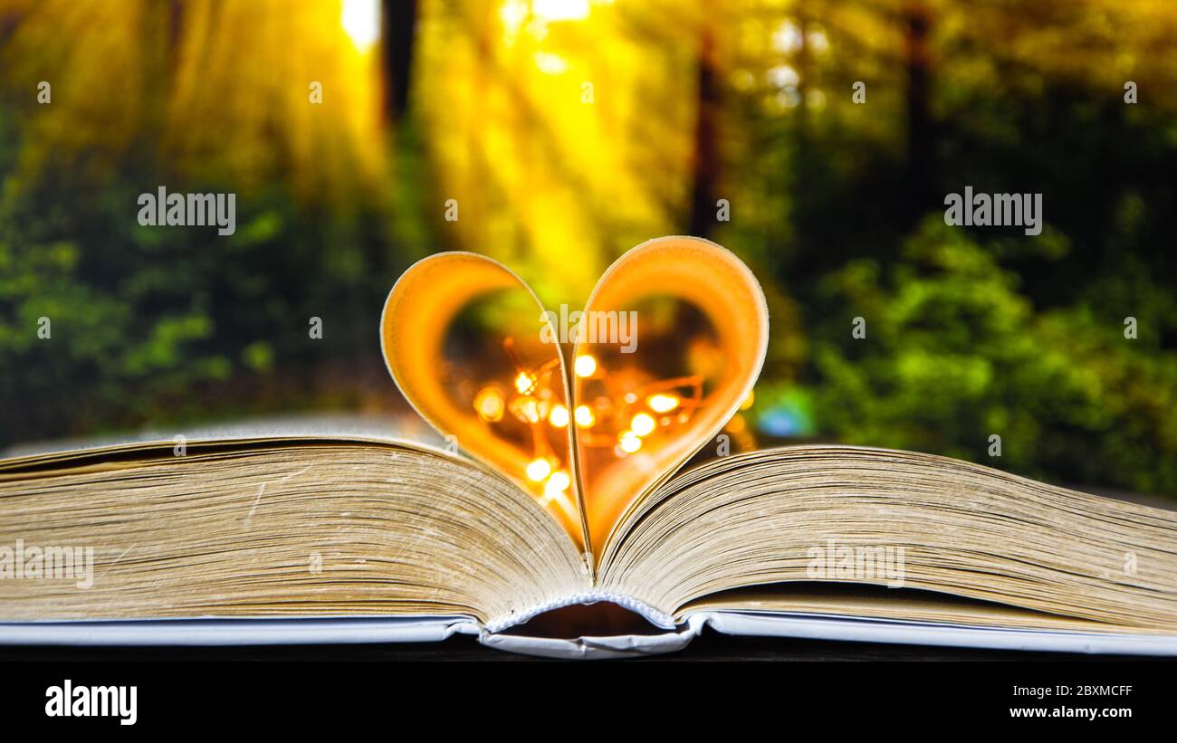 Book with love symbol isolated on forest nature background, Close-up Of  Heart Shape Book Stock Photo - Alamy