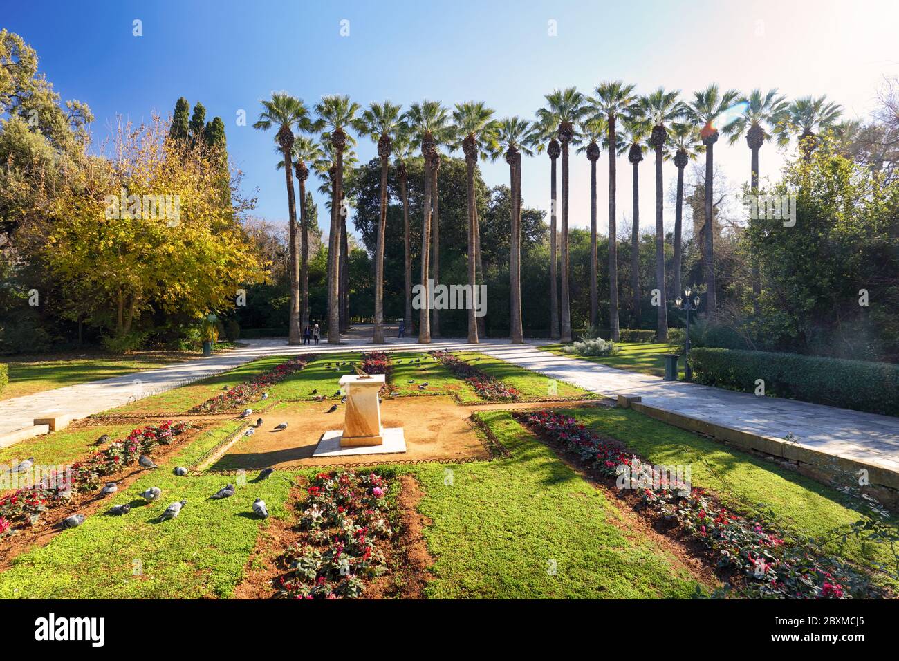 National garden with palm  in center of Athens, Greece Stock Photo