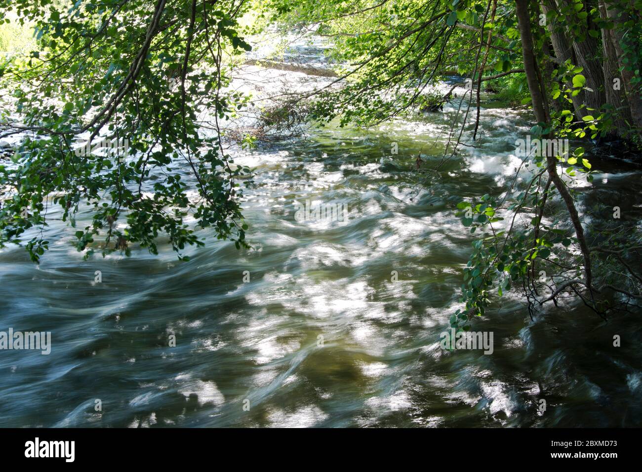 Der Fluss Le Tech am Fuss der Pyrenäen in Céret Stock Photo