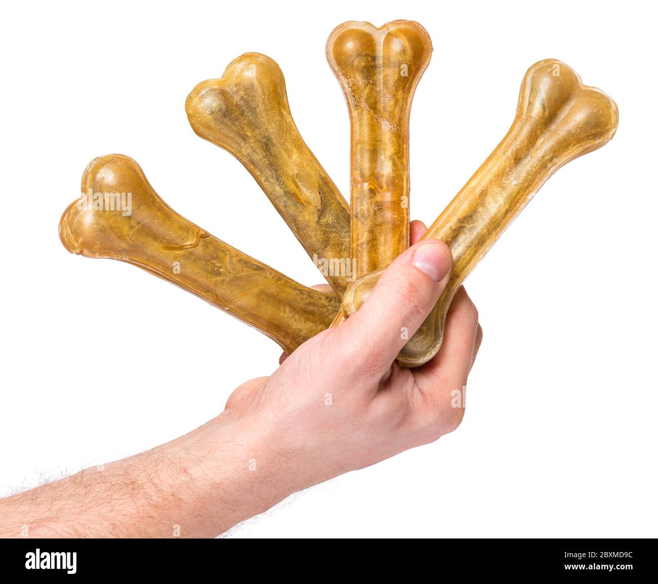 Hand with dog bone Stock Photo - Alamy