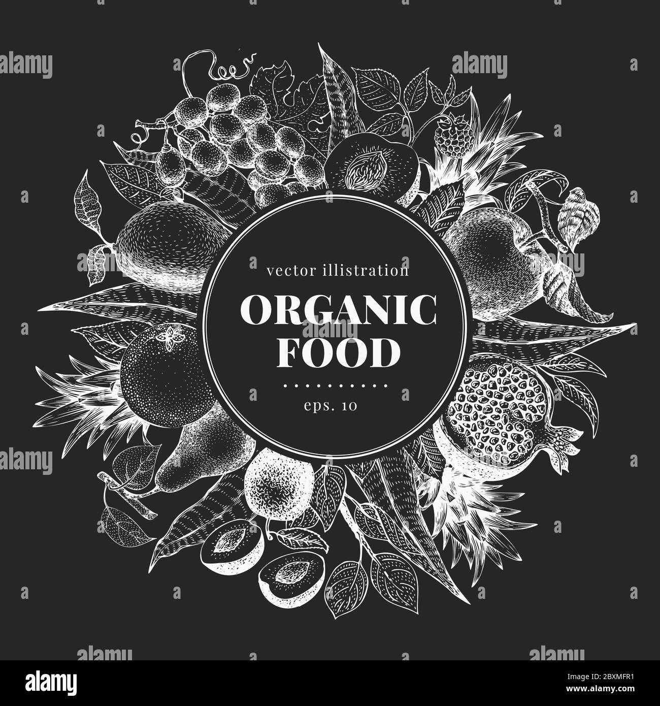 Hand drawn fruit and berry design template. Vector illustrations on ...