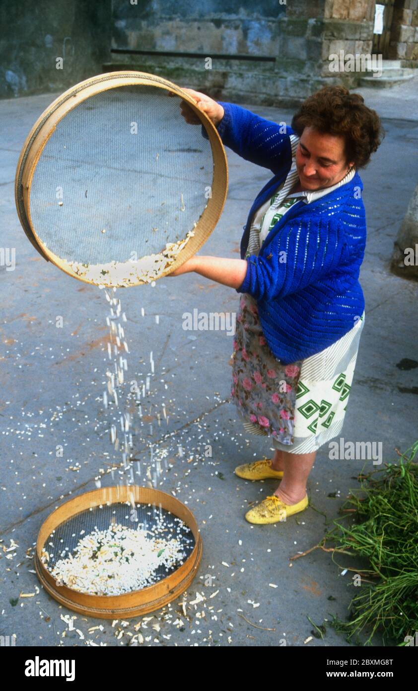 Woman using a sieve to clean beans in the town of Ledesma, Castile and Leon, Salamanca, Spain Stock Photo