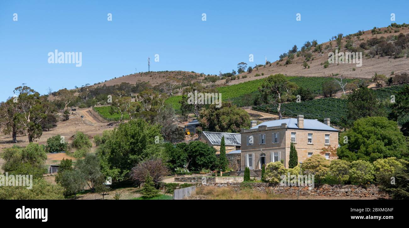 Historic Prospect House and vineyard Richmond Tasmania Australia Stock