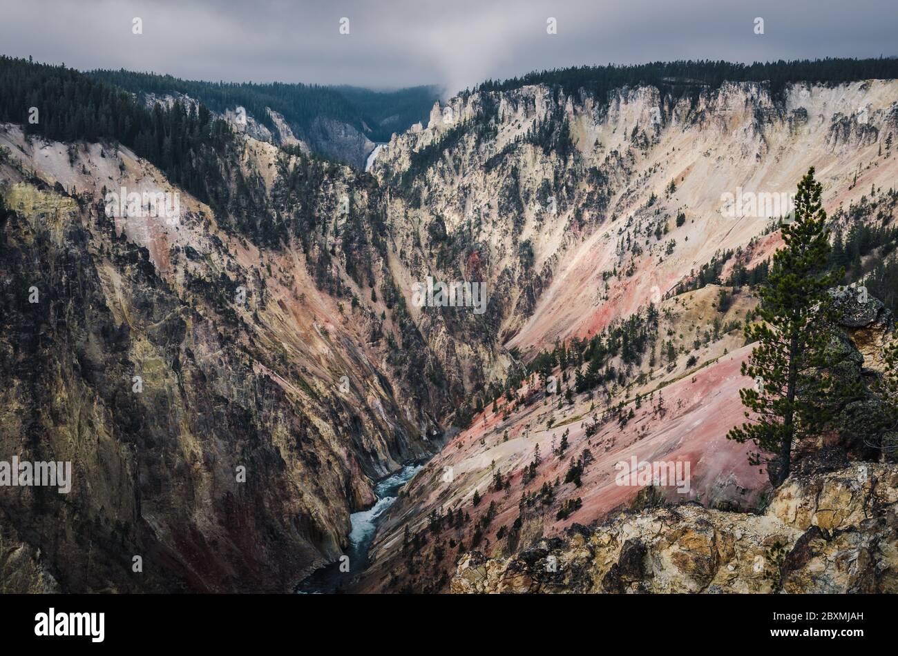 Grand Canyon of the Yellowstone inYellowstone National Park, Wyoming Stock Photo