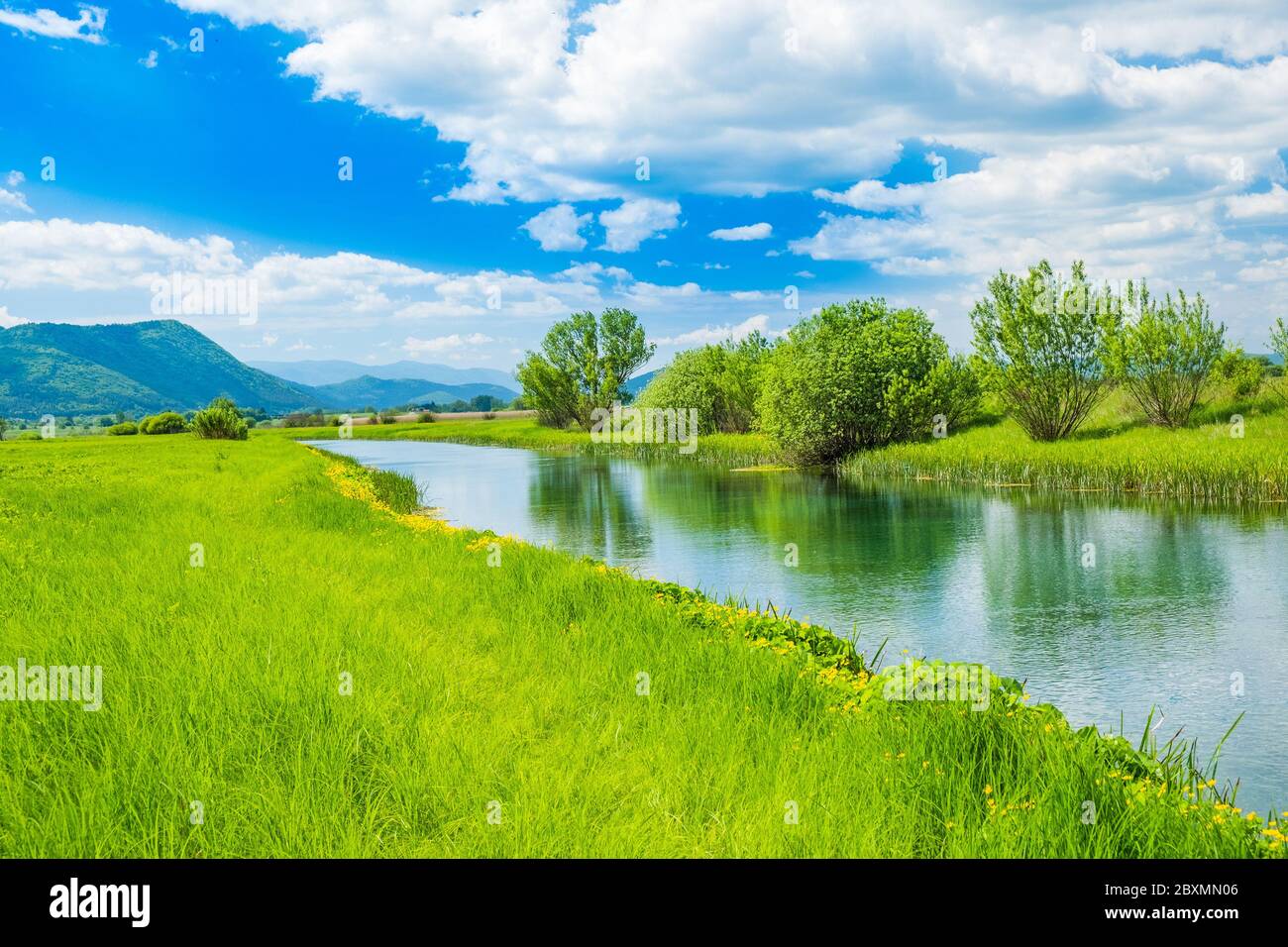 Croatian landscape, river Gacka flowing between the meadow fields in Lika region of Croatia Stock Photo