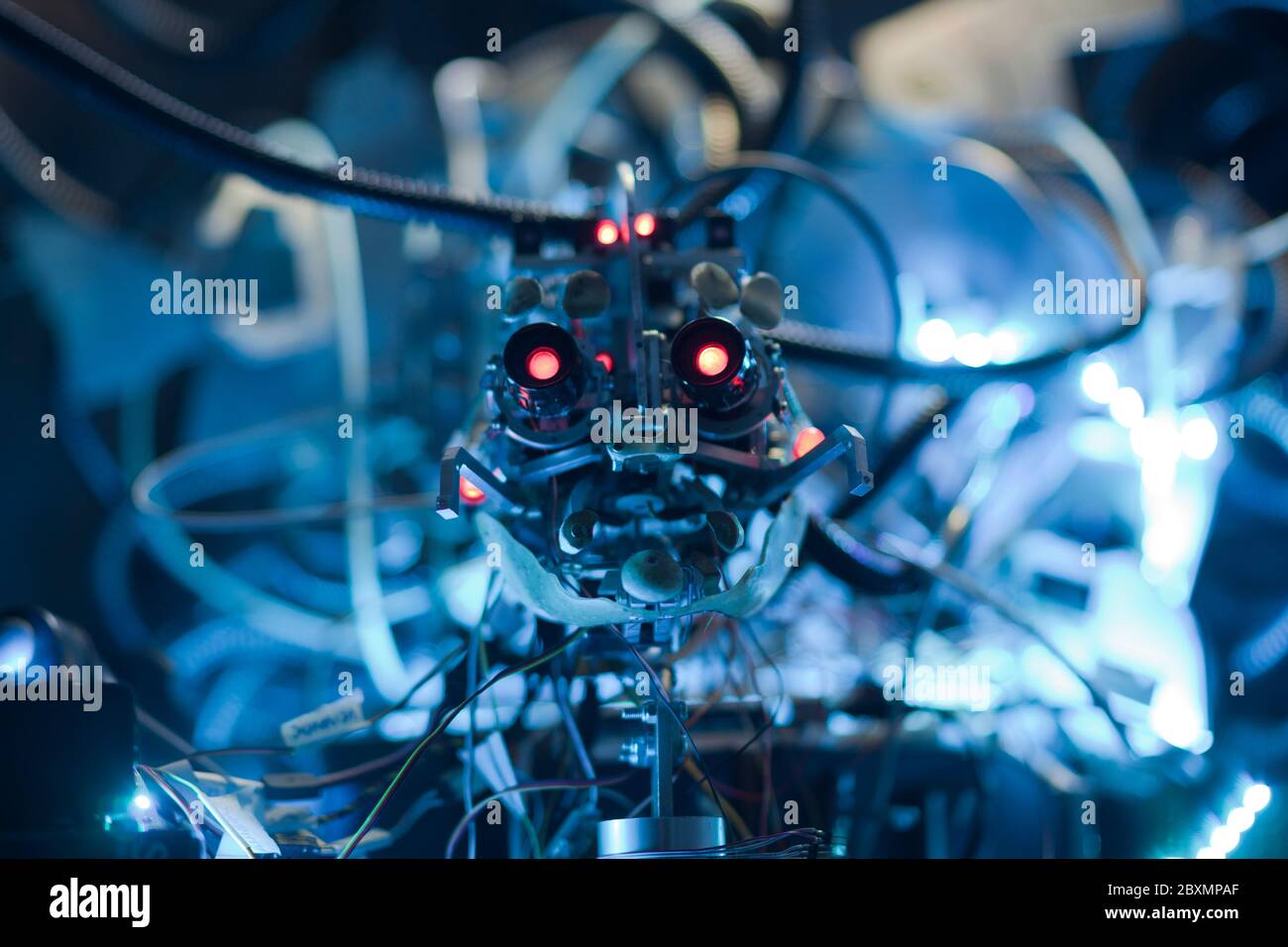 Cyborg head with red eyes surrounded by wires and lights in a futuristic cyberpunk enviroment Stock Photo