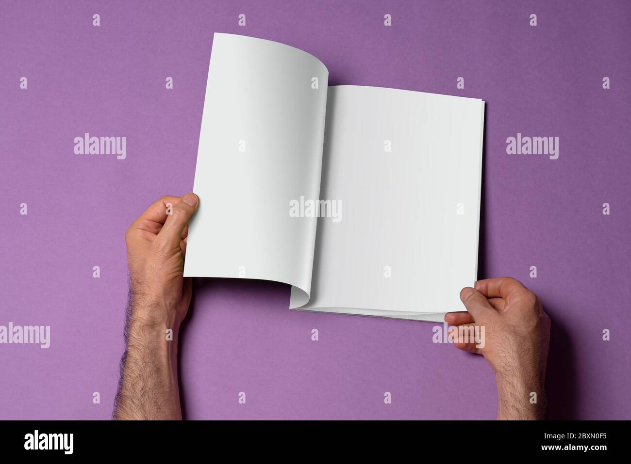 Male hands holding an opened bookcatalog with blank pages on purple