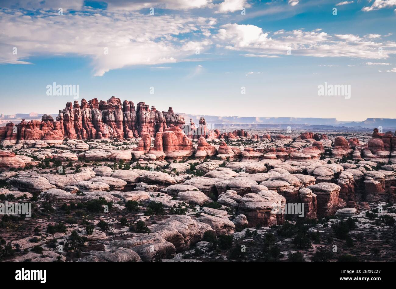 Needles District of Canyonlands. Stock Photo