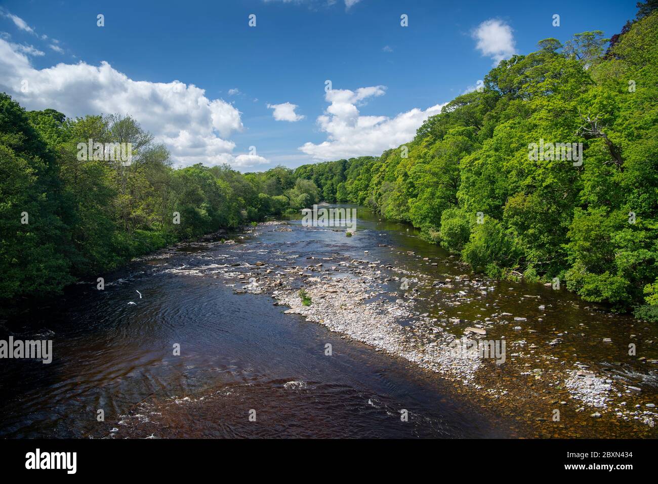 River Tees from Whorlton suspension bridge on an early summers afternoon. County Durham, UK. Stock Photo