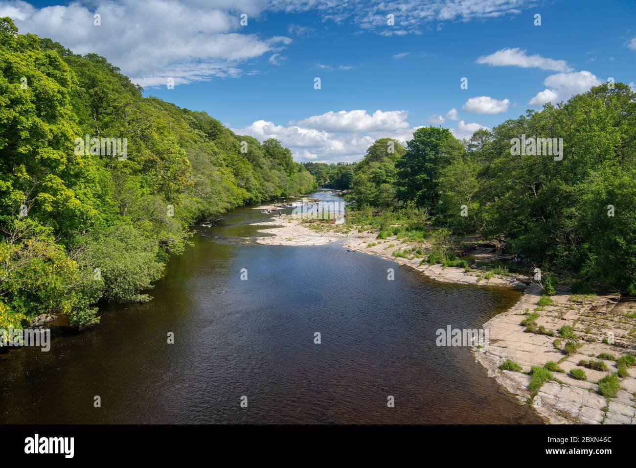 River Tees from Whorlton suspension bridge on an early summers afternoon. County Durham, UK. Stock Photo