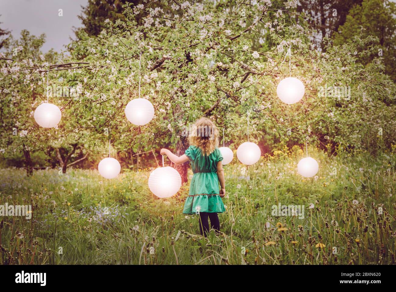 Cute blonde curly hair girl standing in home apple garden, holding glowing round paper lantern and lot of lanterns hanging from blooming apple tree. E Stock Photo