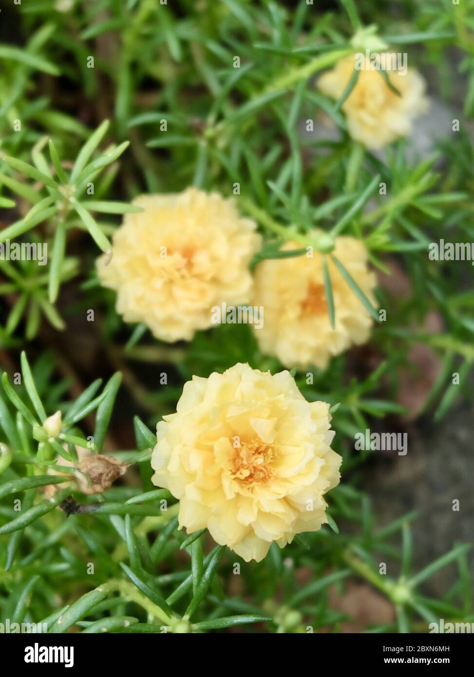 Ten Oclock Hi Res Stock Photography And Images Alamy Ten Oclock Hi Res Stock Photography And Images Alamy