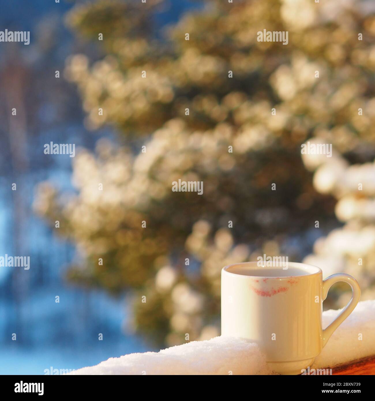 https://c8.alamy.com/comp/2BXN739/snow-covered-landscape-mug-at-snow-in-the-morning-cup-with-morning-coffee-on-a-background-of-a-winter-landscape-2BXN739.jpg
