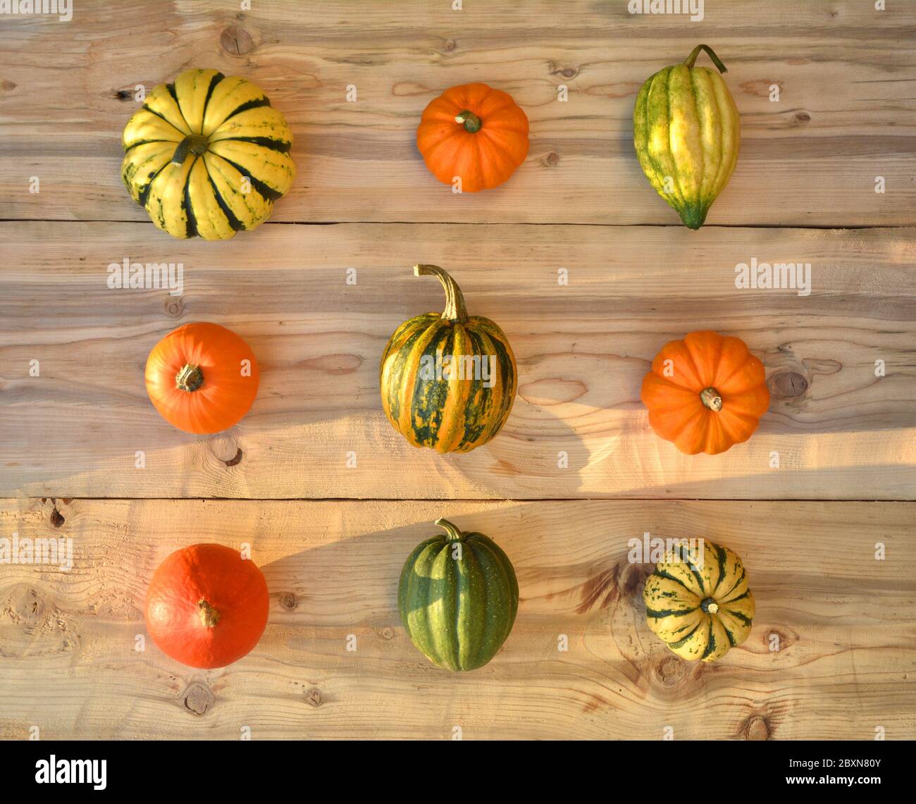Various pumpkins and squashes on wooden background Stock Photo