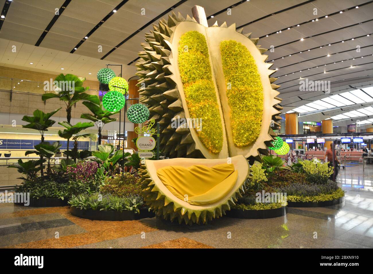 SINGAPORE  - OCTOBER 7, 2015 : Departures hall at the Changi Airport Singapore. Durian fruit shaped sofa and garden decoration. Stock Photo