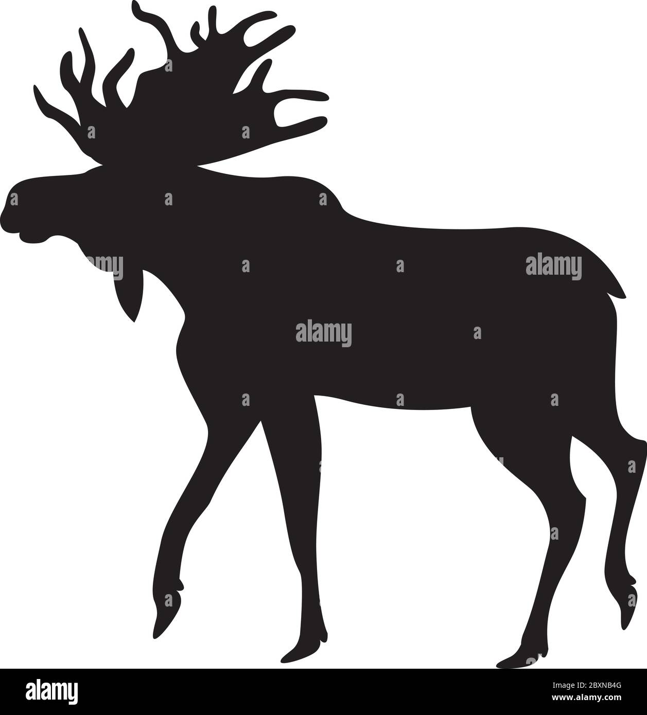Bull moose. Flat vector illustration. Simple silhouettes. Isolated on white  Stock Vector Image & Art - Alamy