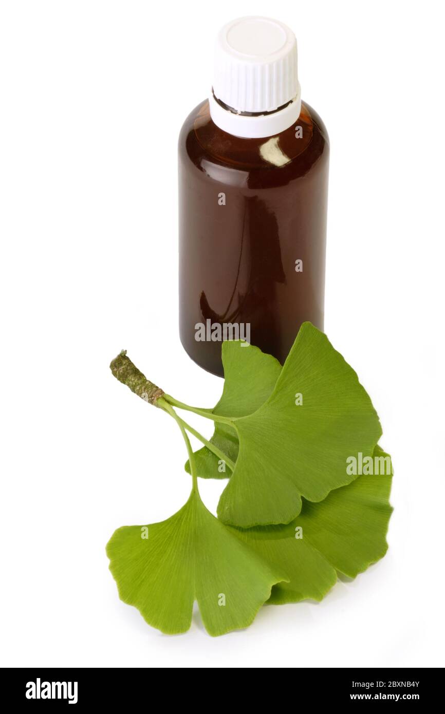 Ginkgo medicine Cut Out Stock Images & Pictures - Alamy