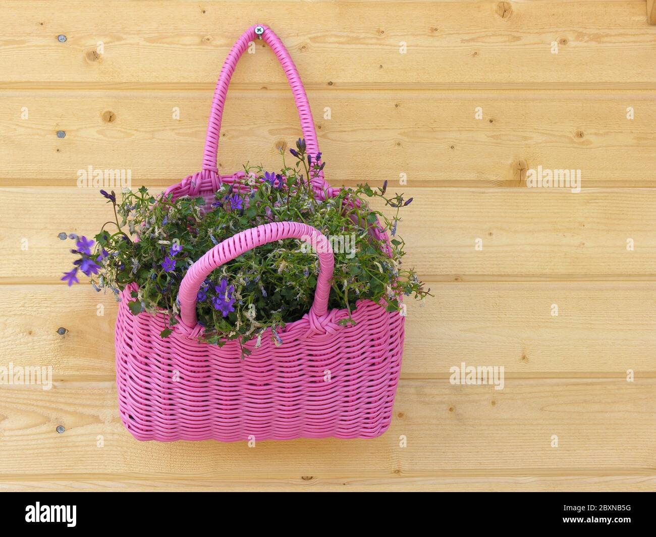 flower basket Stock Photo