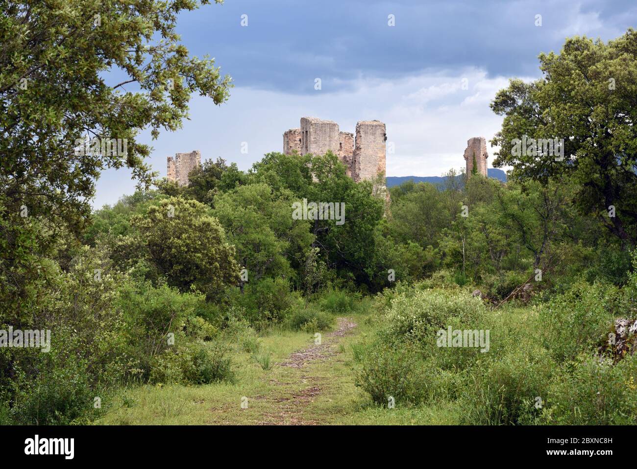 Ruined Brick Towers Rising Above Overgrown Grounds & Vegetation of the Ruined Château de Valbelle Tourves Var Provence France Stock Photo