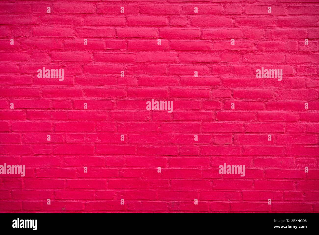 Saturated pink brickwall Background with cement texture Stock Photo
