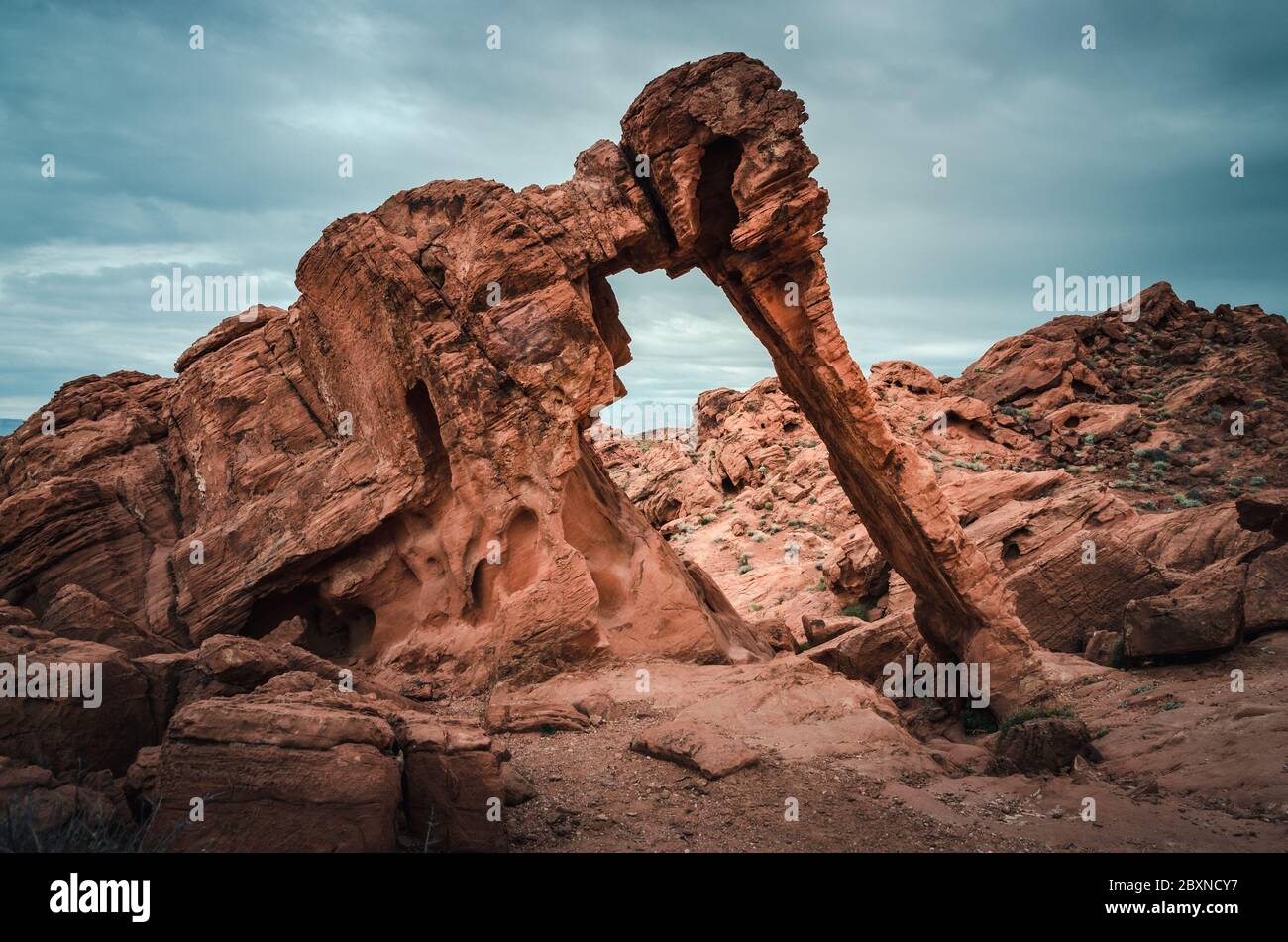 Elephant Rock at Valley of Fire Stock Photo