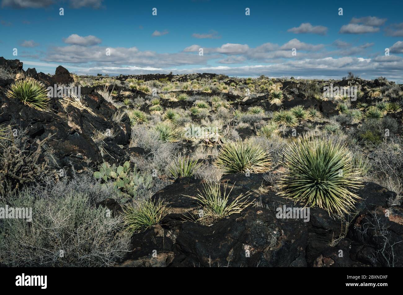Carrizozo Malpais lava flow on the west side of Carrizozo, New Mexico