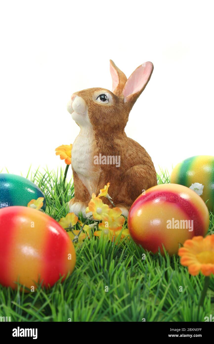 Easter bunny with eggs on a meadow Stock Photo