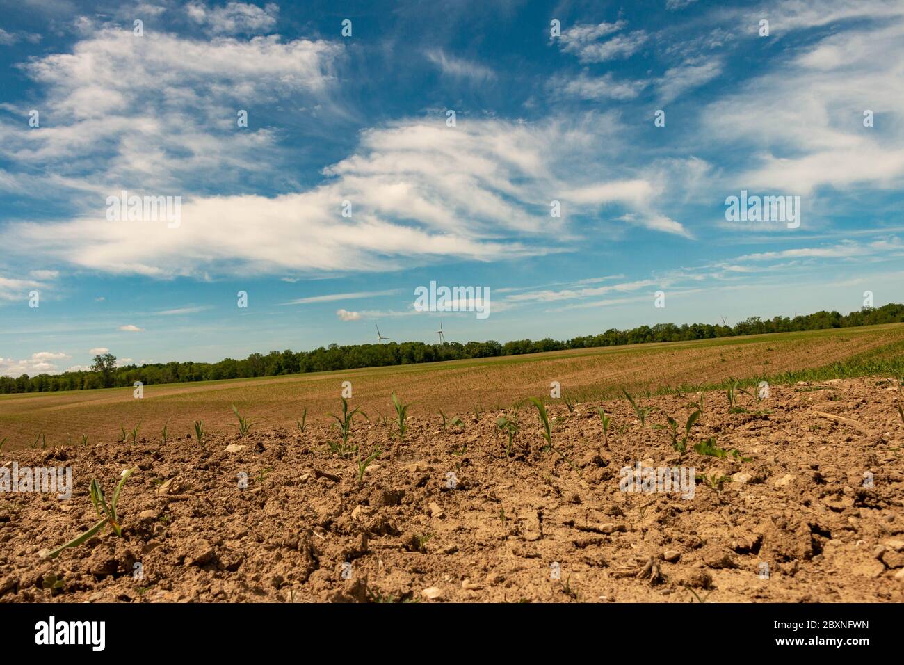 Farm land, Ontario, Canada. View of freshly planted fields Stock Photo Alamy Farm land, Ontario, Canada. View of freshly planted fields Stock Photo Alamy