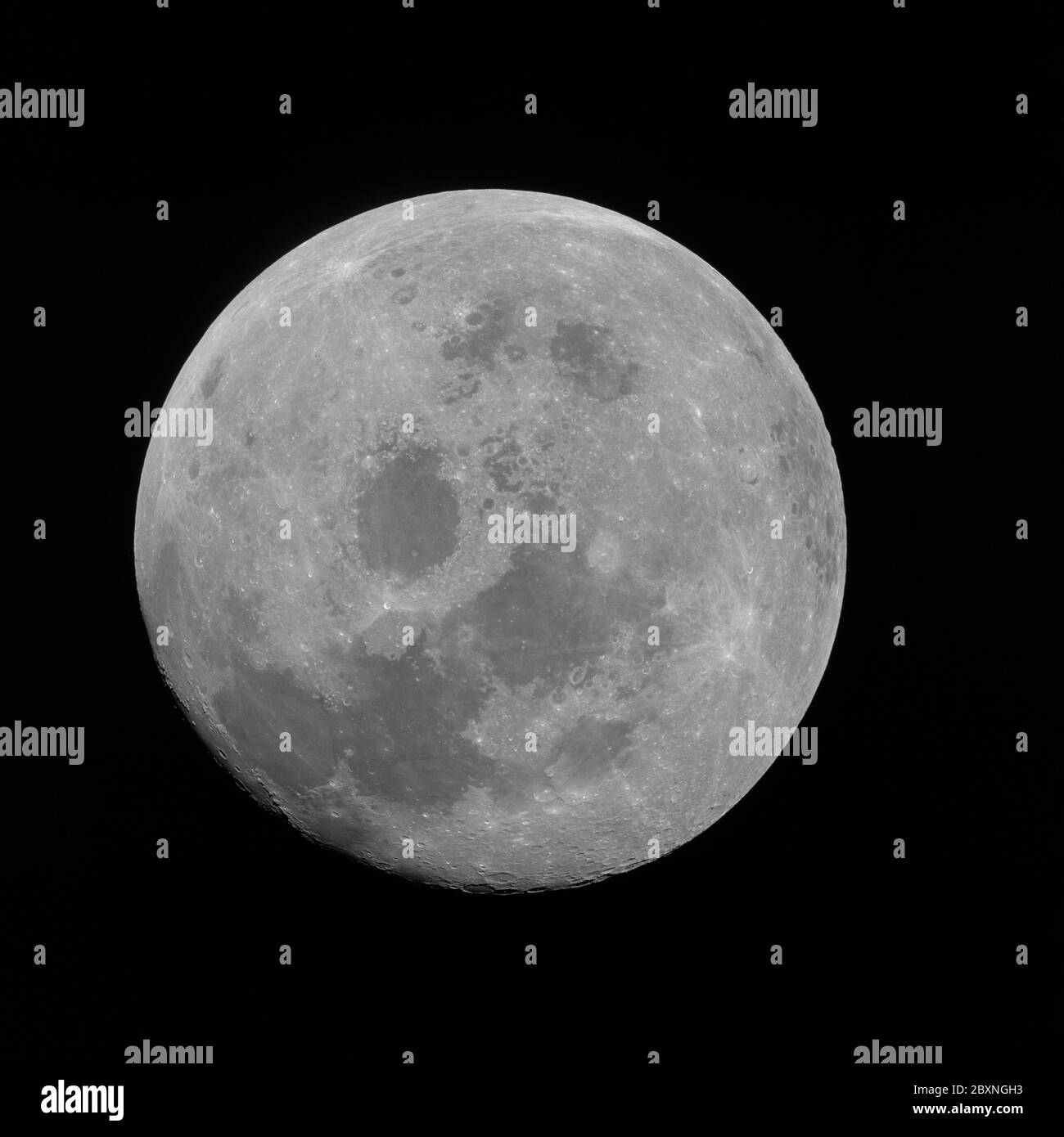 My Image 26