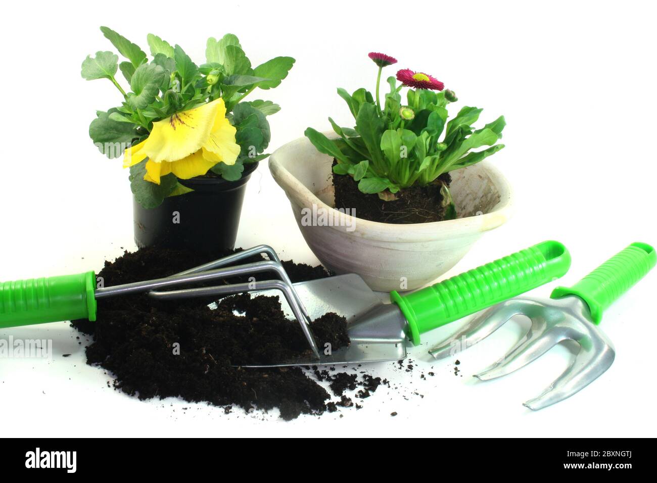 Gardening in Spring Stock Photo - Alamy