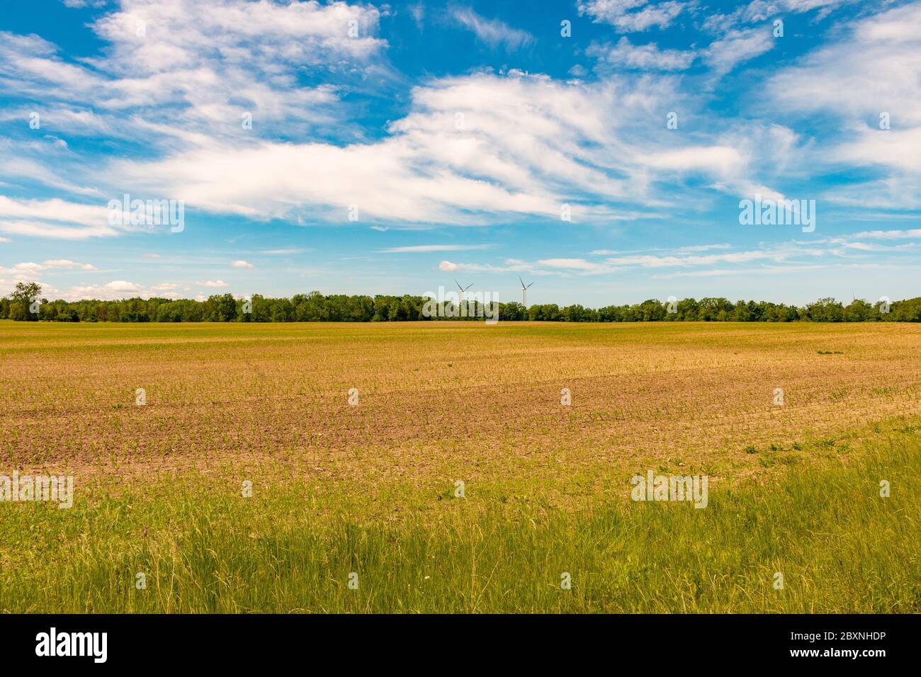 Farm land, Ontario, Canada. View of freshly planted fields Stock Photo Alamy Farm land, Ontario, Canada. View of freshly planted fields Stock Photo Alamy