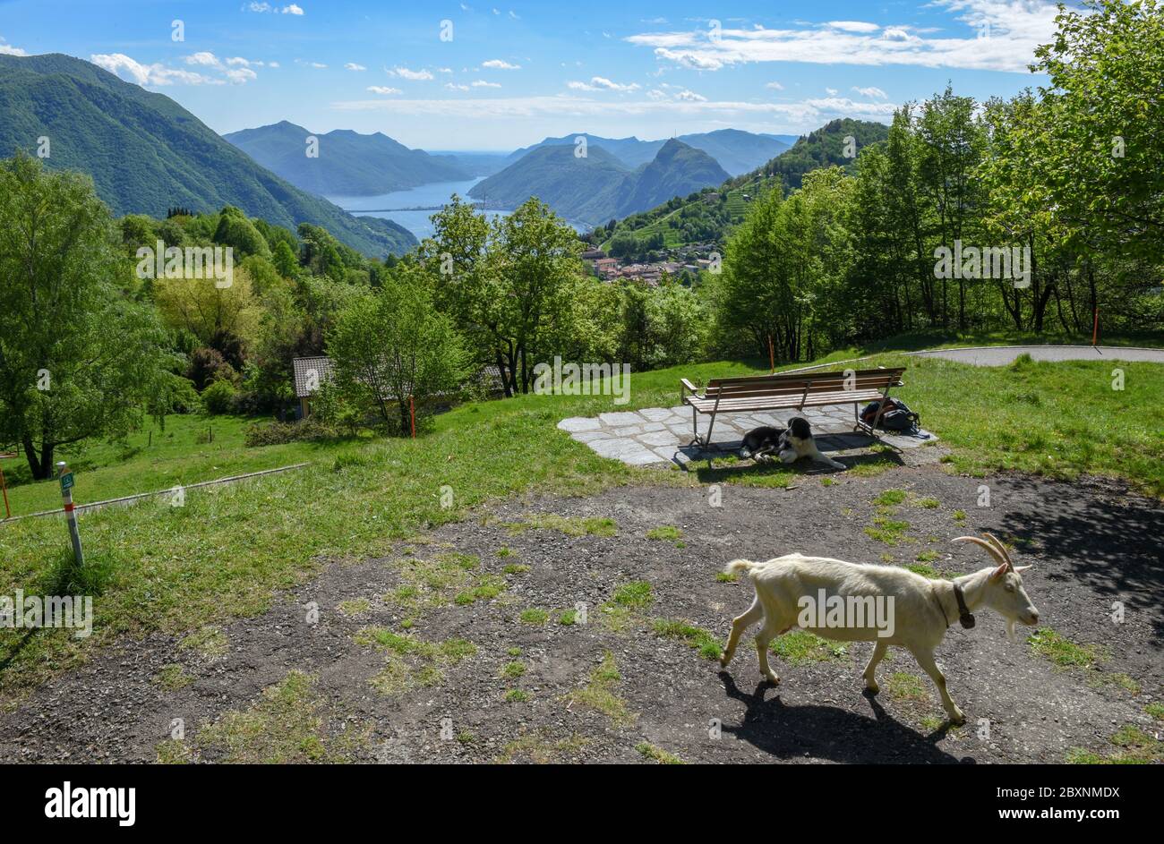 Mount bre hi-res stock photography and images - Alamy