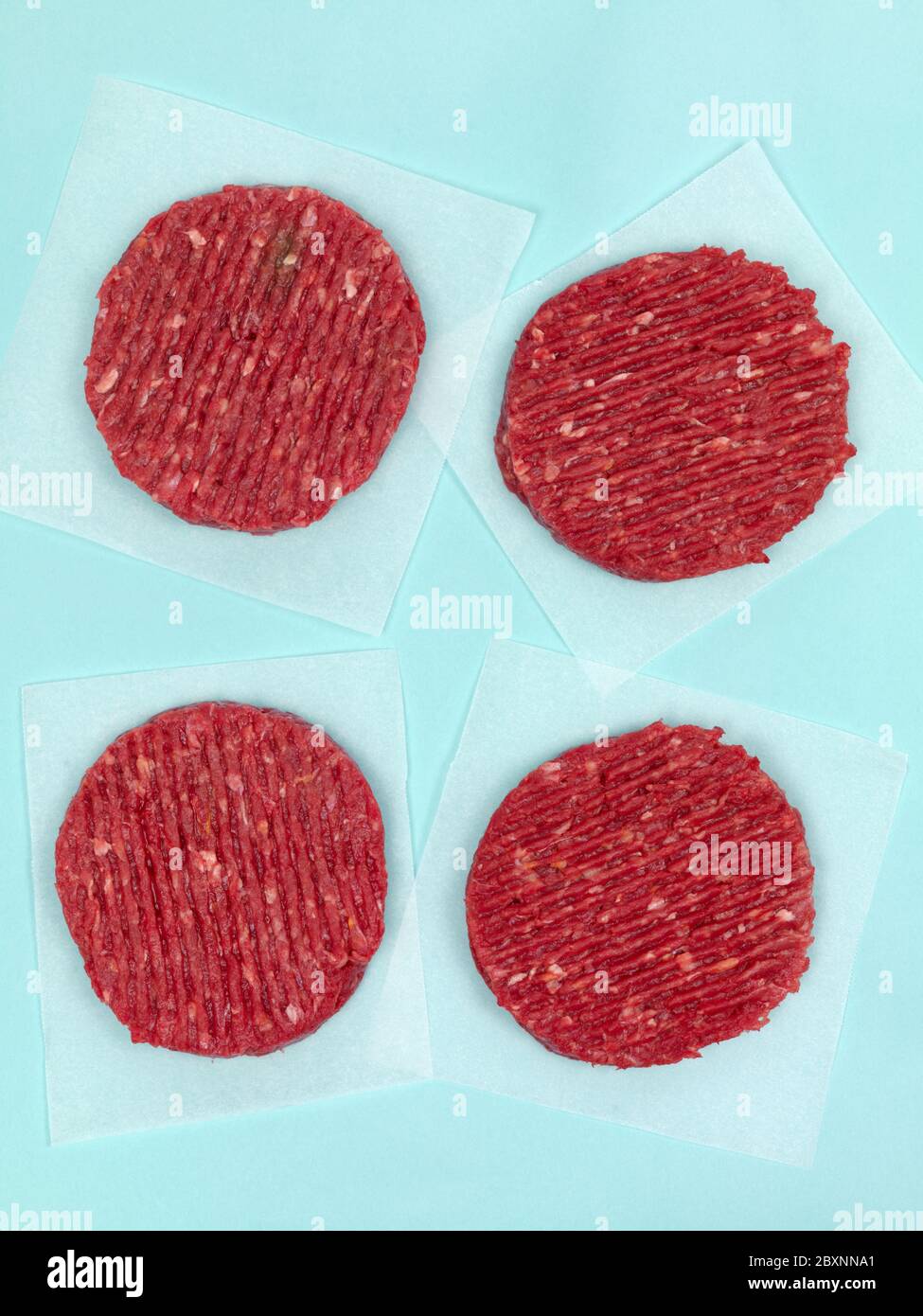 Burger patties isolated on a pale blue background Stock Photo - Alamy