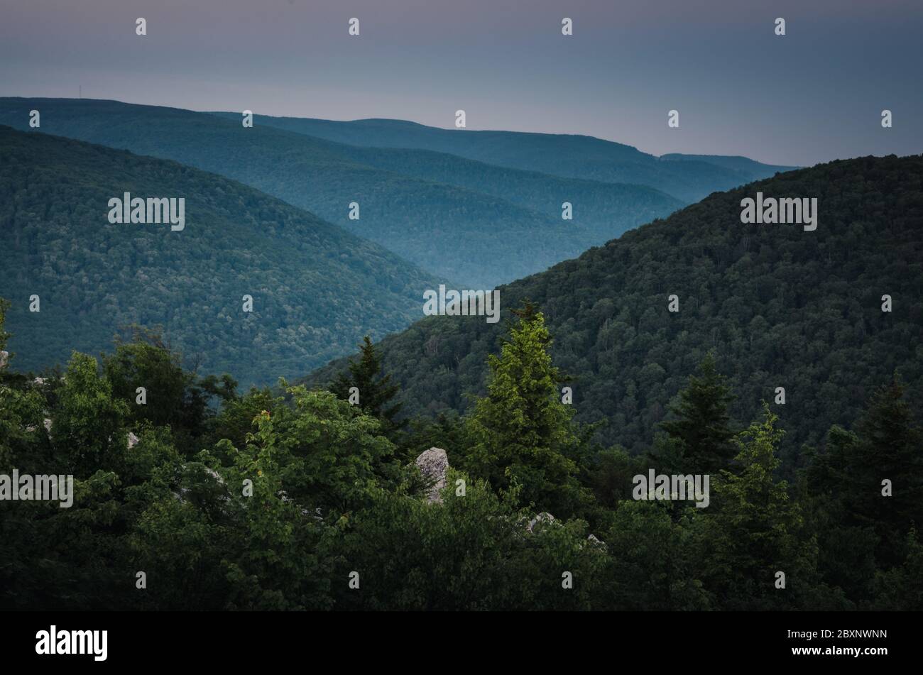 The Dolly Sods Wilderness contains bog and heath ecosystems, more commonly typical to southern Canada. Stock Photo