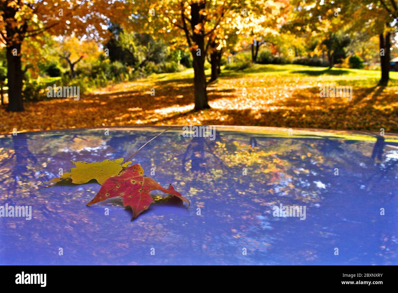Car with no roof hires stock photography and images Alamy