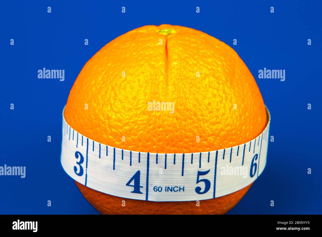 Measuring up hires stock photography and images Alamy