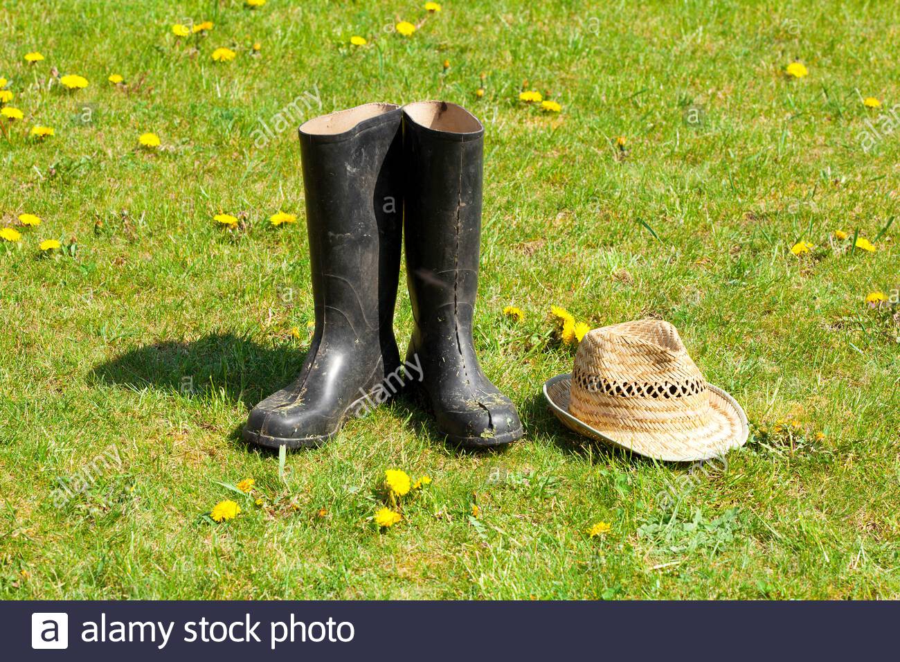 Gummistiefel Garten High Resolution Stock Photography And Images Alamy