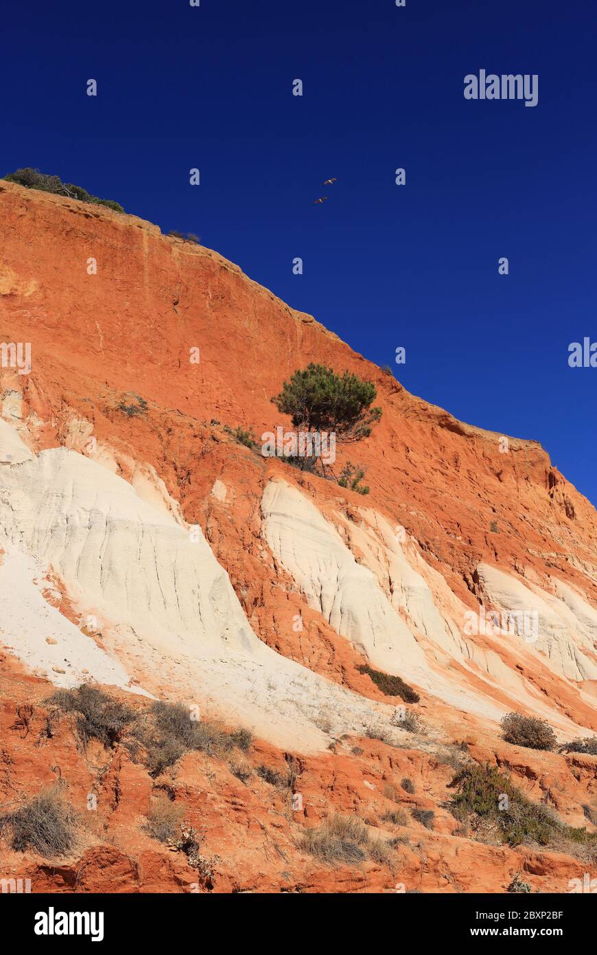 Portugal, Algarve, Albufeira, Olhos D'Agua Beach on Portugal's Atlantic Coast. Beautiful sandstone cliff formations. Stock Photo