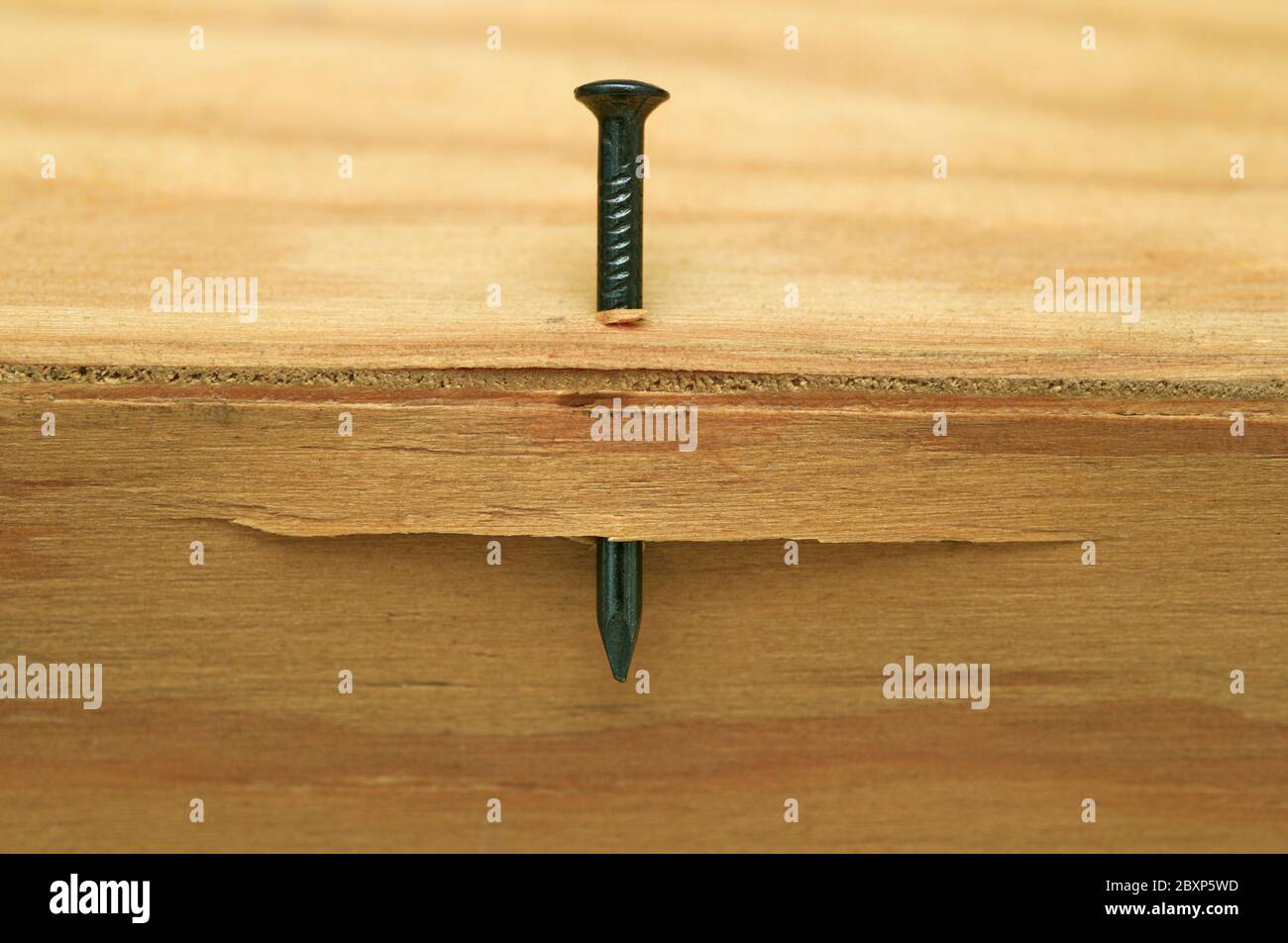 nail in wood incorrectly Stock Photo