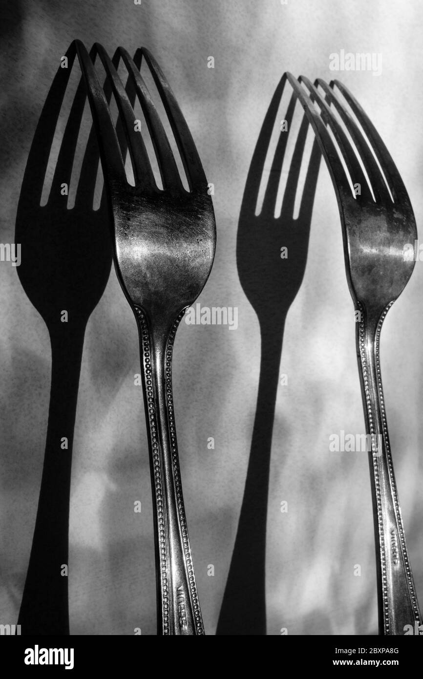 Black and white photography: Image of two dining forks and shadows in the style of 20th century Modernist photography. Stock Photo