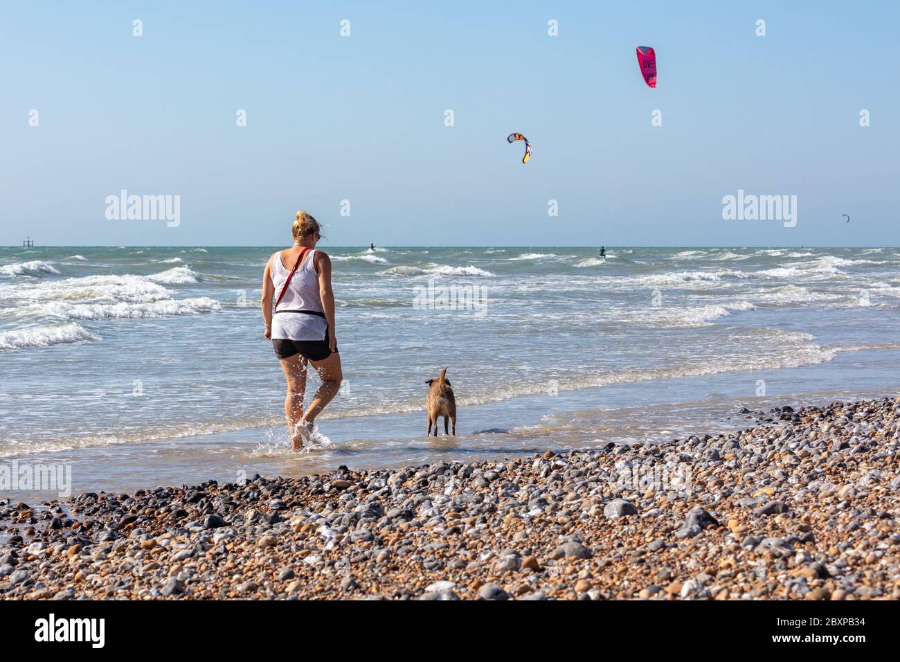 Rear View of woman Walking Her Dog on the Seashore.  Kite Surfers are in the Background Stock Photo
